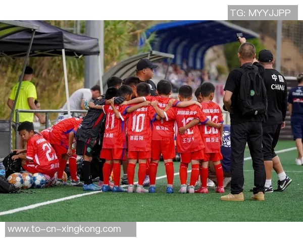 青春绿茵场上的梦想与拼搏高中足球少年们的热血故事